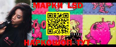 apvp Кингисепп