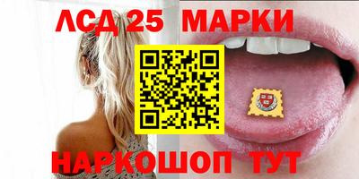 apvp Кингисепп