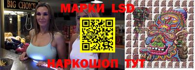 apvp Кингисепп