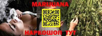 apvp Кингисепп