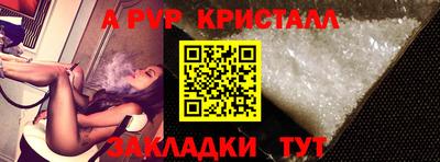 apvp Кингисепп