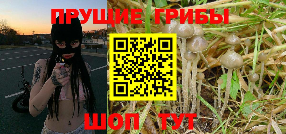 Псилоцибиновые грибы Magic Shrooms  Вход с VPN  Красноуфимск 