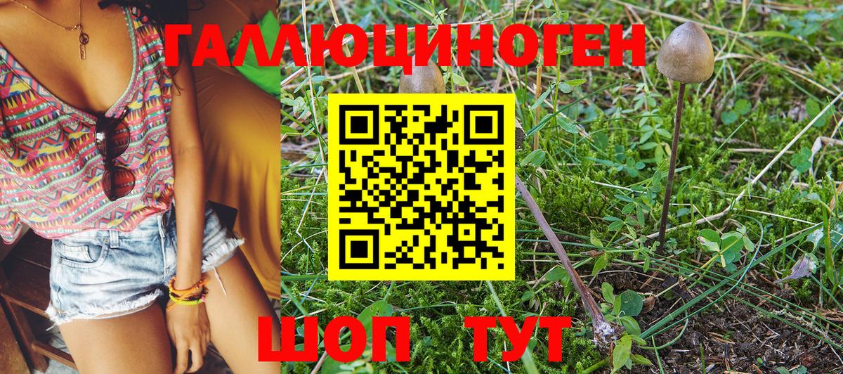 Псилоцибиновые грибы MAGIC MUSHROOMS Красноуфимск